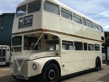 Cream Routemaster